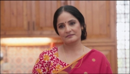 Jaane Anjaane Hum Mile - 22nd January 2025